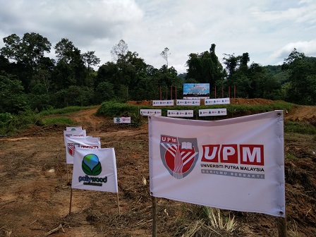 The sprawling 200-hectare farm that will be planted with Paulownia trees at Mering subdistrict, Lojing, Gua Musang, Kelantan,  with the help of Pollywood and UPM experts.